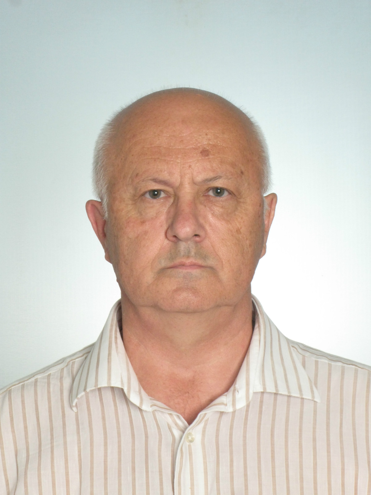 Prof. Andrey N. Dmitriev
